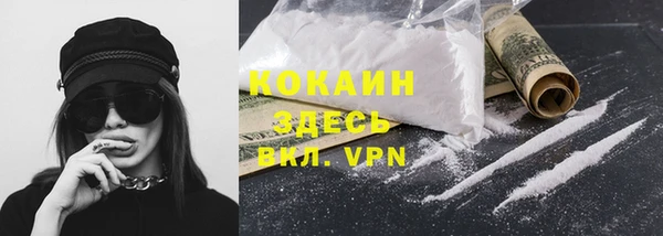 бошки Богданович