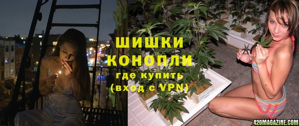 бошки Богданович