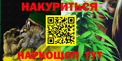 гидра Кингисепп