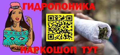 гидра Кингисепп