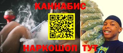 гидра Кингисепп