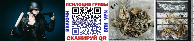 KRAKEN   Валуйки  Псилоцибиновые грибы Magic Shrooms 